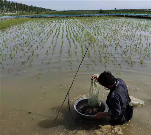唐山芦台经济开发区视频,芦台贸易开发区金翠园