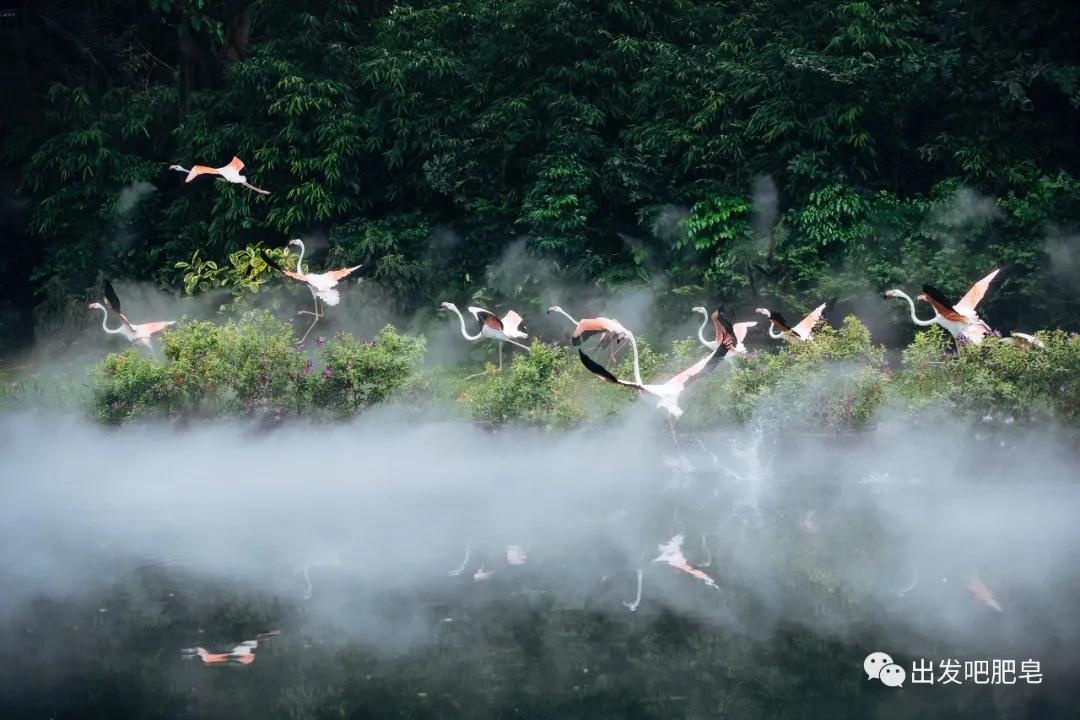 长隆飞鸟乐园怎么去长隆欢乐世界,汉溪长隆地铁站去长隆飞鸟乐园