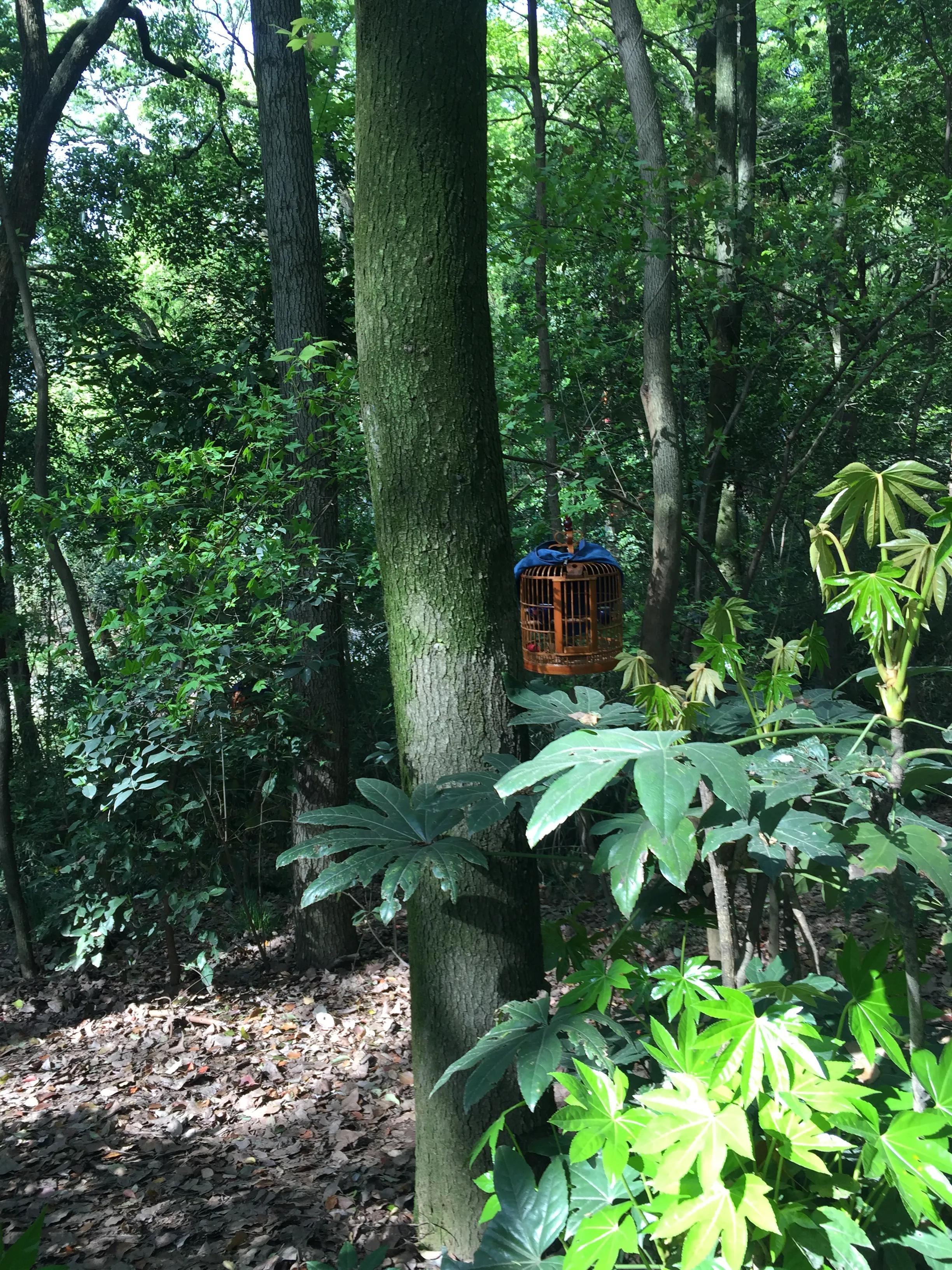 神农公园游览图怎么画简单,神农公园游乐场关门时间