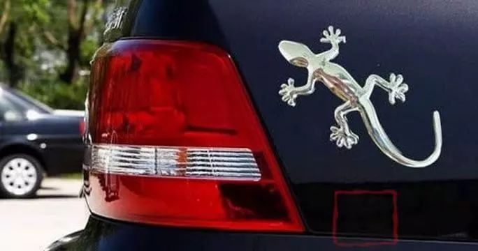 那些令你惊讶的车贴,你们还见过哪些车贴