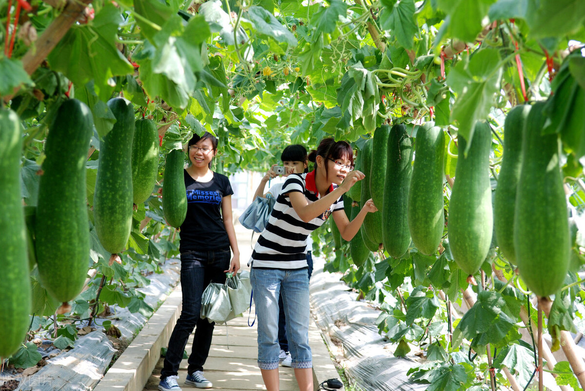 广西农业外资项目管理中心推进农业外贸项目实施助力乡村振兴