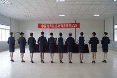 西南航空专修学院是民办还是公办,四川西南航空专修学院的详细地址