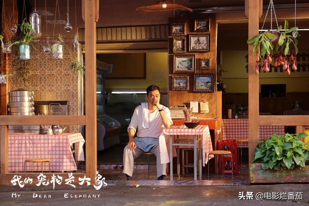 刘青云为什么缺席金像奖,刘青云的真实生活视频