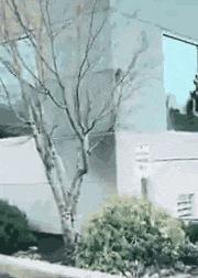 搞笑gif段子因为爱情所以共患难,搞笑gif段子小伙子你谈恋爱了吗