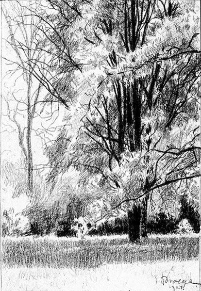 这些绝美的摄影每一张都值得珍藏,40张经典素描风景图快来临摹吧