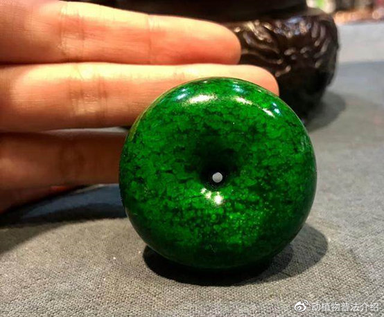 文玩流行的动物制品 (十种野生文玩)