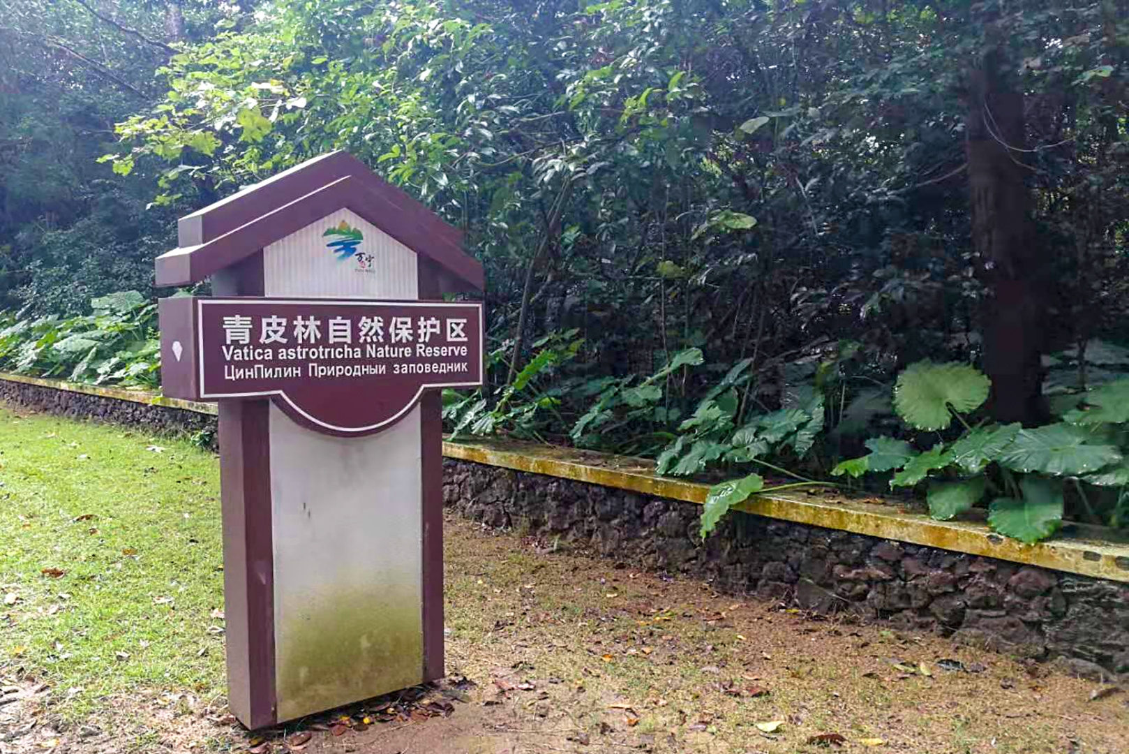 广东旅游分享,海南旅游分享