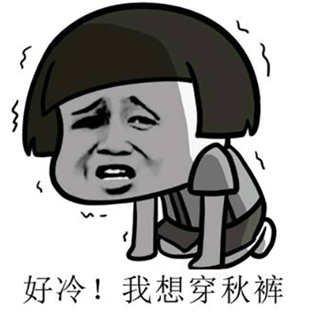 这5双爆款打*裤底**袜又保暖又显瘦！冬日必备！