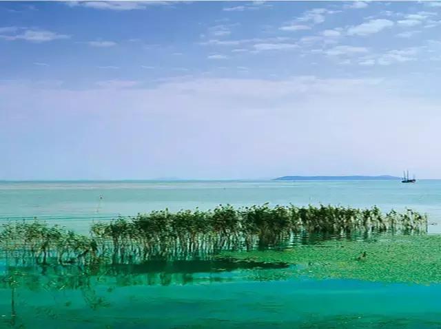 一只坚持四项基本原则的好蟹