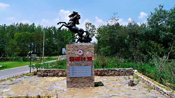 梦想让乡村更美好——南门小学雏鹰梦想小队参加第二届马郢村晚