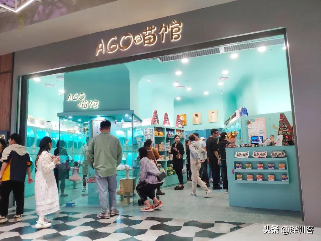 深圳猫市,深圳猫市场