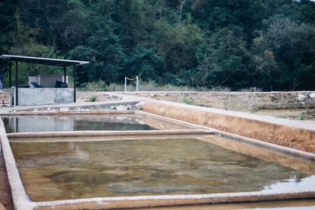 见证了香港从小渔村到大城市,香港盐业历史