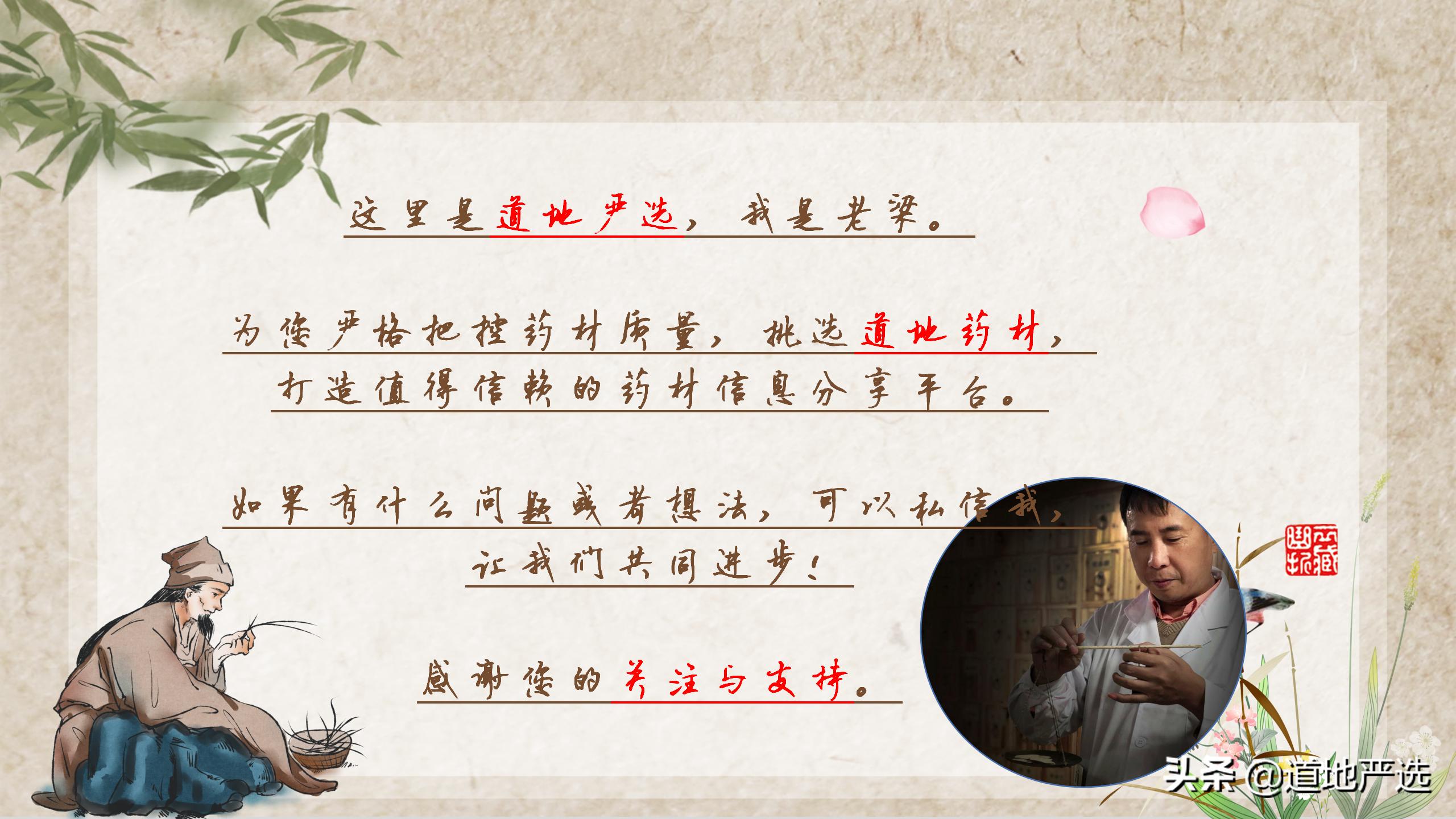 怎么鉴别人参是真是假,如何判断人参的真假和质量