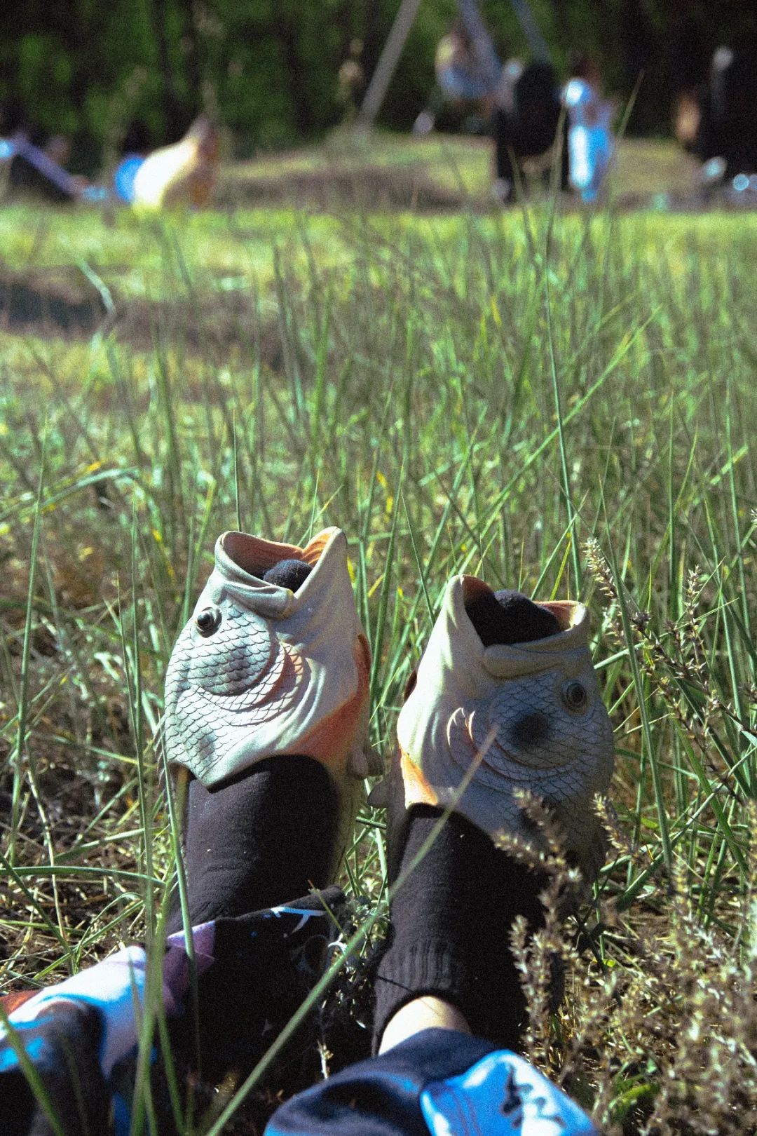 招待会音乐节,招待会电子音乐节2019