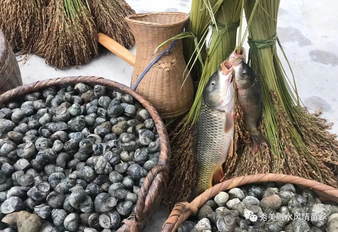 融水特色生态农业产业园,广西融水县特色产品