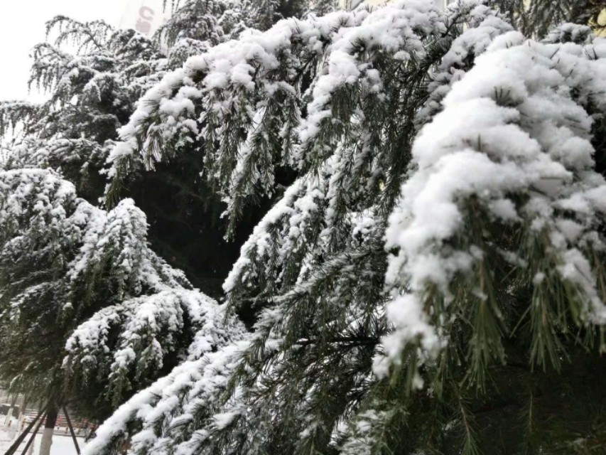 心理治疗和药物治疗的效果,心理治疗对患者有作用么