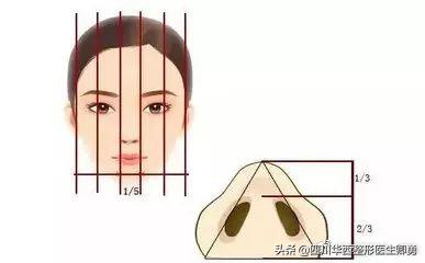 好看的鼻子标准是什么,好看的鼻子显什么脸型