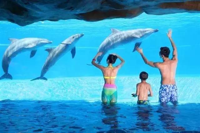 去珠海长隆玩住哪家民宿最划算,珠海长隆水上乐园民宿