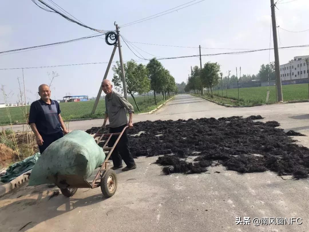 假发之都许昌视频,假发之都许昌哪里有