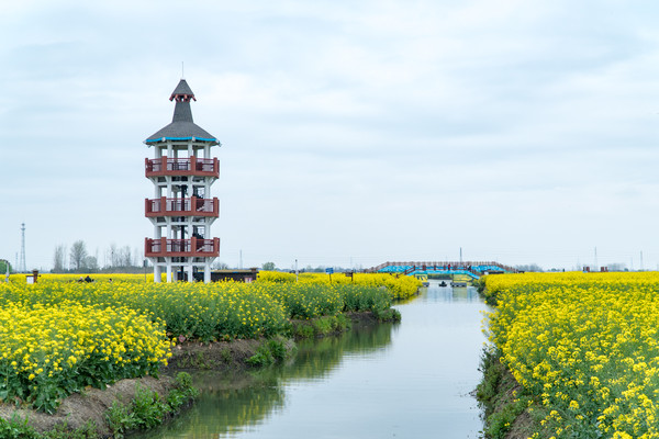 踏春赏花拍美景,踏春赏花逛湖