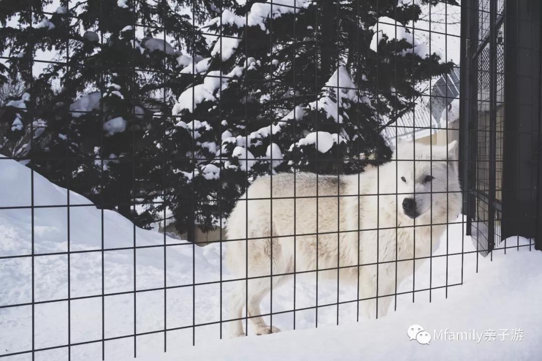 被疫情憋疯小朋友,被疫情憋疯的孩子们