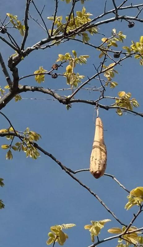 手拍世界,手拍世界作品专集