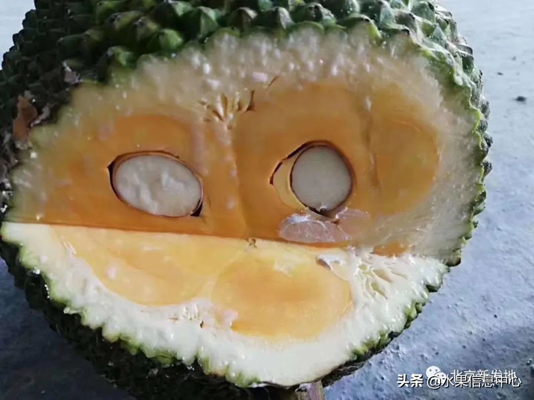 水果大王们生意经,水果生意经