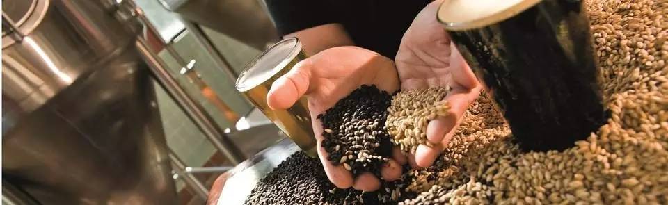 国内较好的麦芽品牌,单一麦芽三大品牌