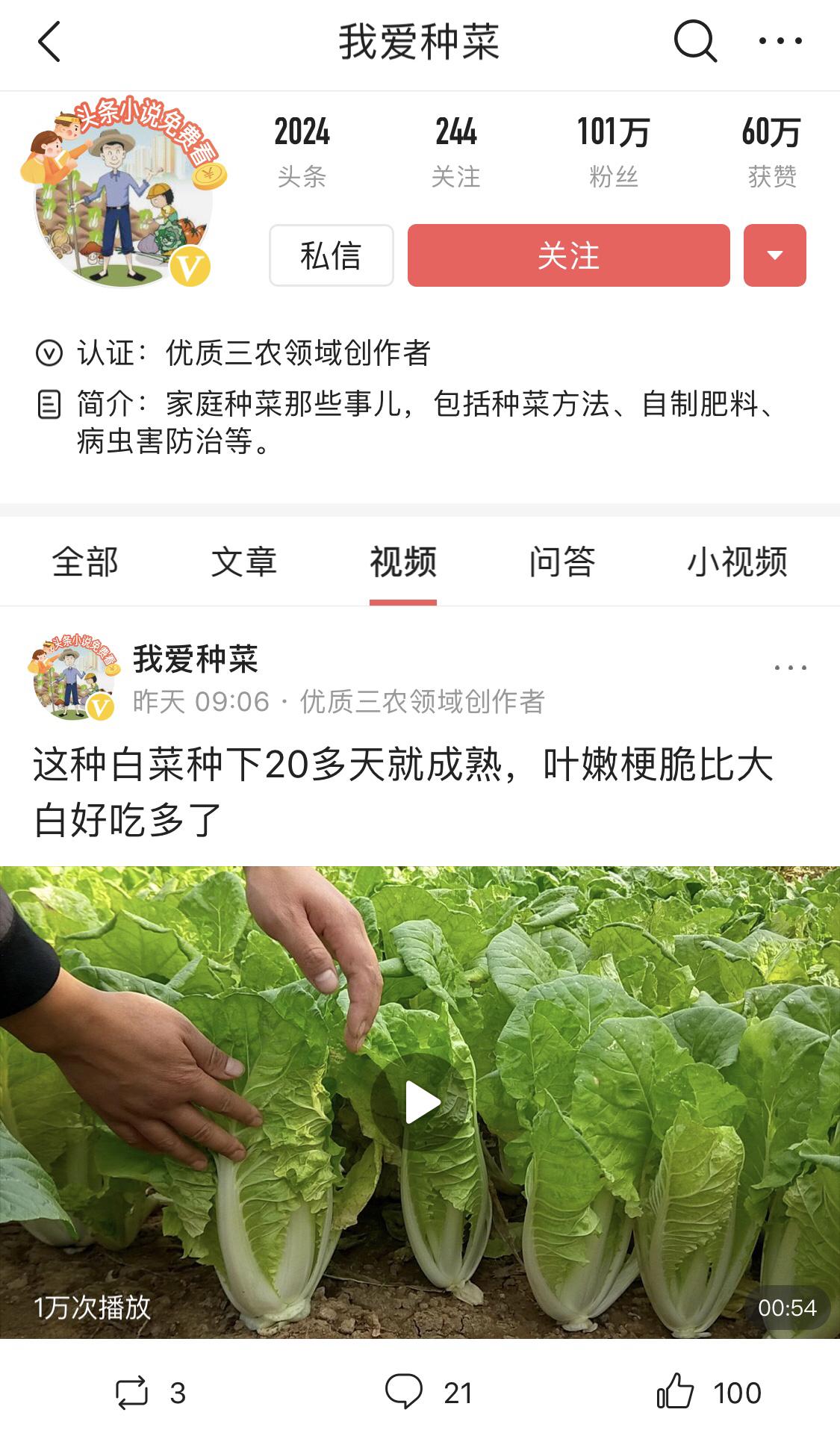 70后阳台种菜,70后学种菜