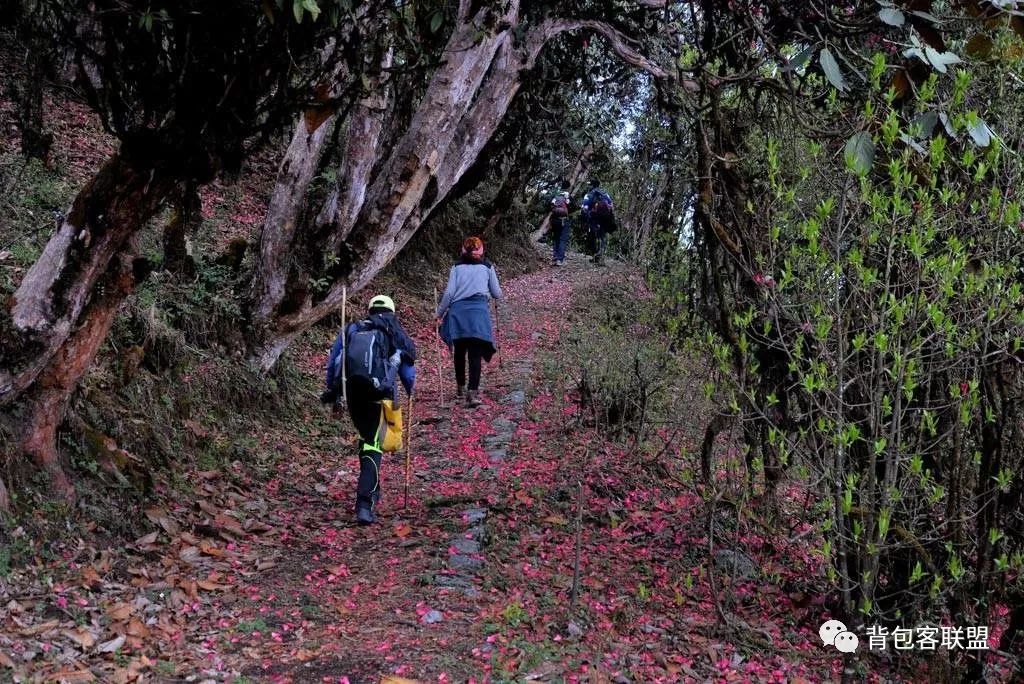去尼泊尔的行前准备,尼泊尔旅游全攻略签证