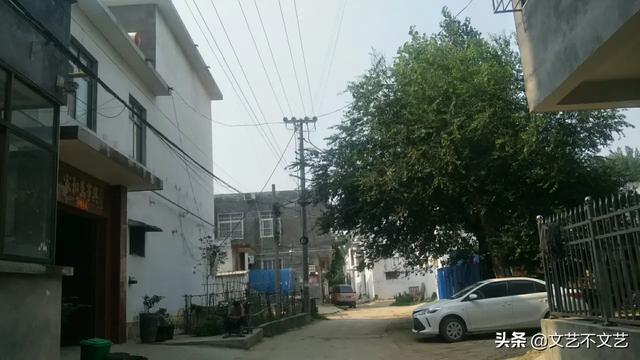 入职牧原集团的当天我后悔了,入职牧原集团