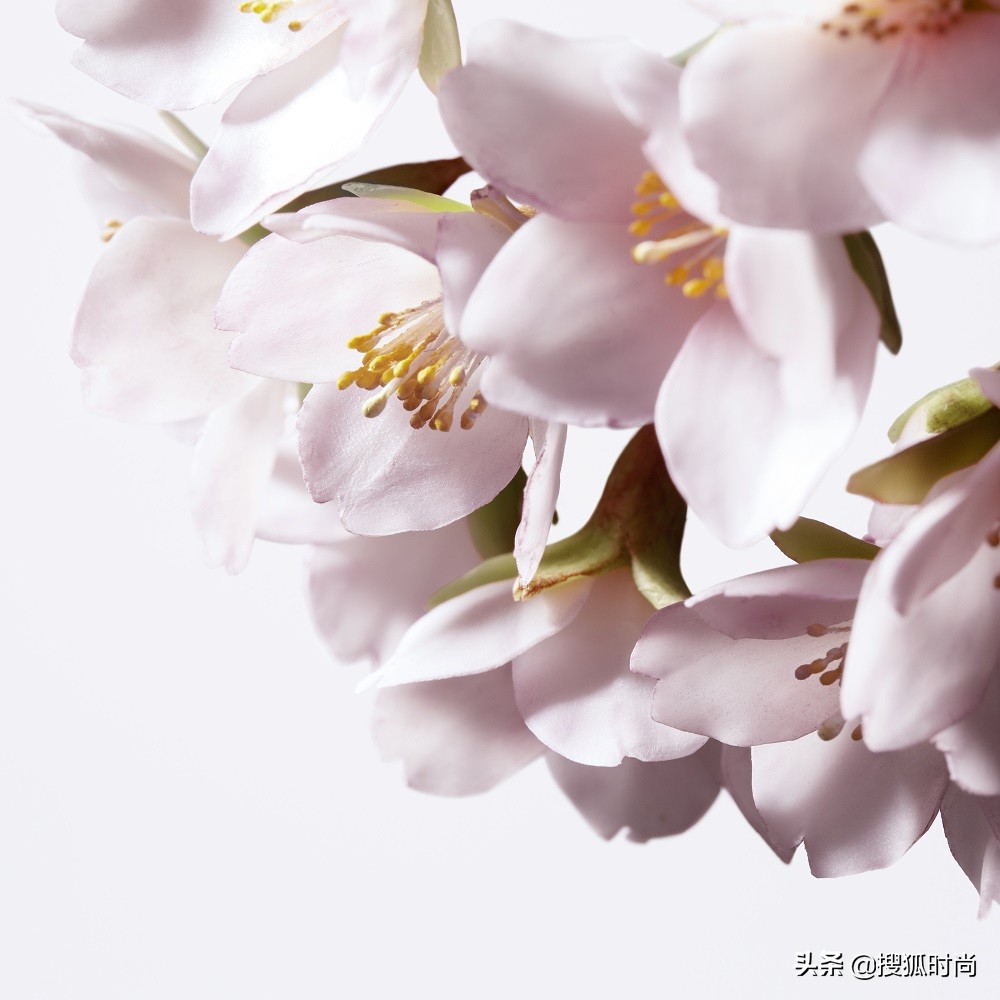 又美又甜的东西,樱花粉色系的美妆单品