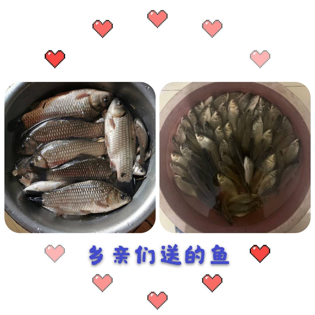 病毒席卷了我们的家园,病毒席卷了世界的每一个角落