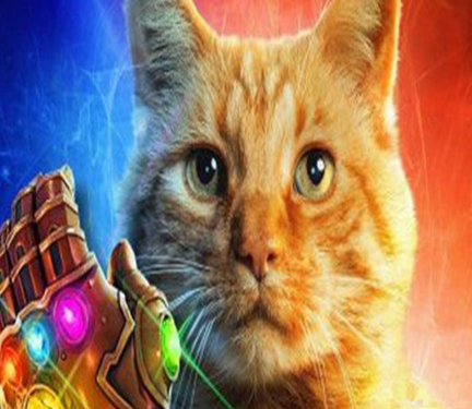 仓鼠贪吃是本性，除此之外吞噬能力与颜值远超噬元兽