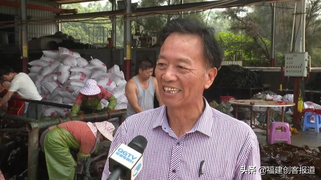 海带采收,海带收割最新视频