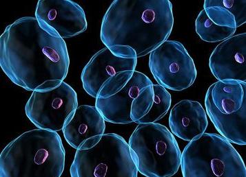 细菌病毒支原体衣原体症状区别,细菌病毒支原体衣原体之间区别