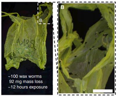 <html>
<head><title>502BadGateway</title></head>
<body>
<center><h1>502BadGateway</h1></center>
<hr><center>nginx</center>
</body>
</html>
<!--apaddingtodisableMSIEandChromefriendlyerrorpage-->
<!--apaddingtodisableMSIEandChromefriendlyerrorpage-->
<!--apaddingtodisableMSIEandChromefriendlyerrorpage-->
<!--apaddingtodisableMSIEandChromefriendlyerrorpage-->
<!--apaddingtodisableMSIEandChromefriendlyerrorpage-->
<!--apaddingtodisableMSIEandChromefriendlyerrorpage-->
