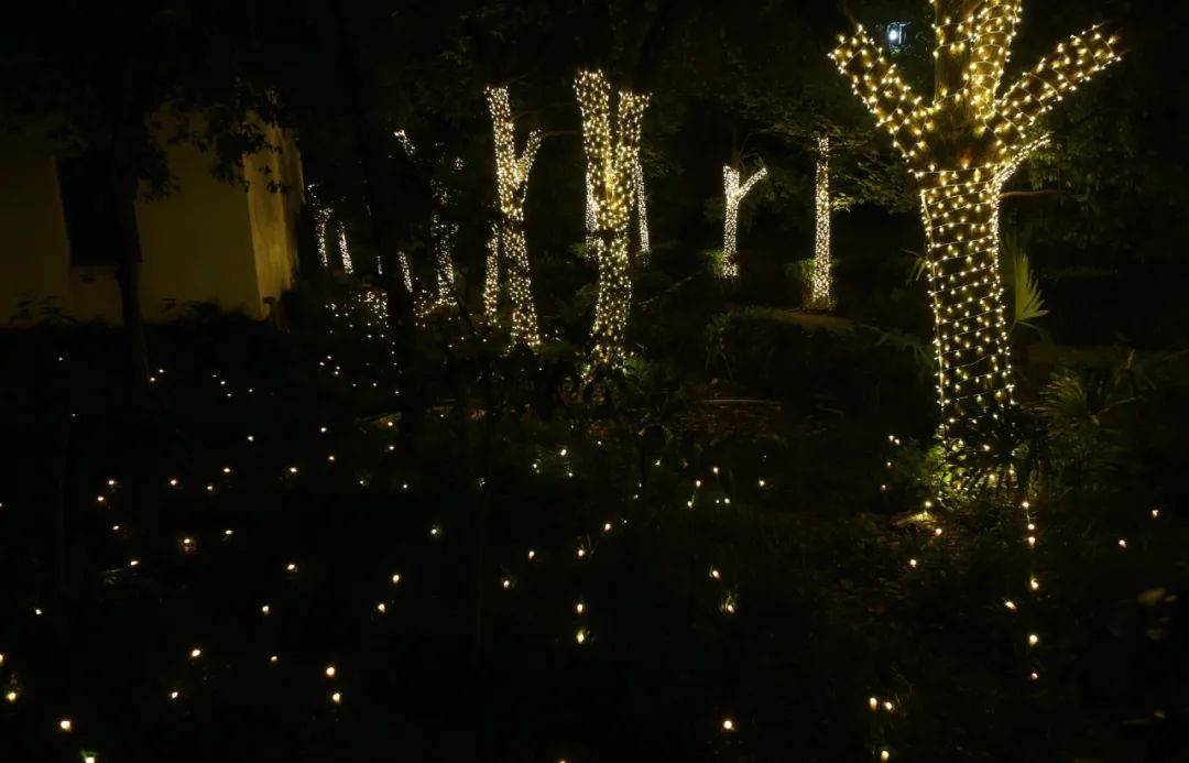 夜新叶，新叶夜，夜夜夜夜夜！唱吧醉仙居，探秘奶茶吧，茶憩戏曲馆，漫步烟花巷……每周六晚