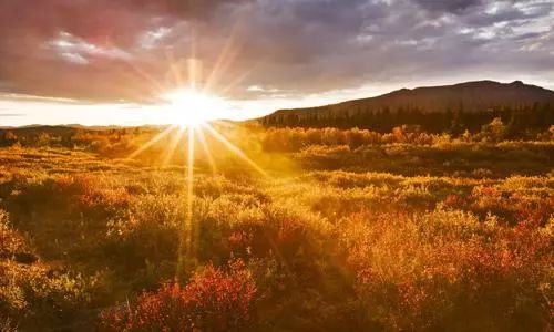 孩子高烧不退需要叫醒吃药吗,孩子高烧不退24小时用药超过4次