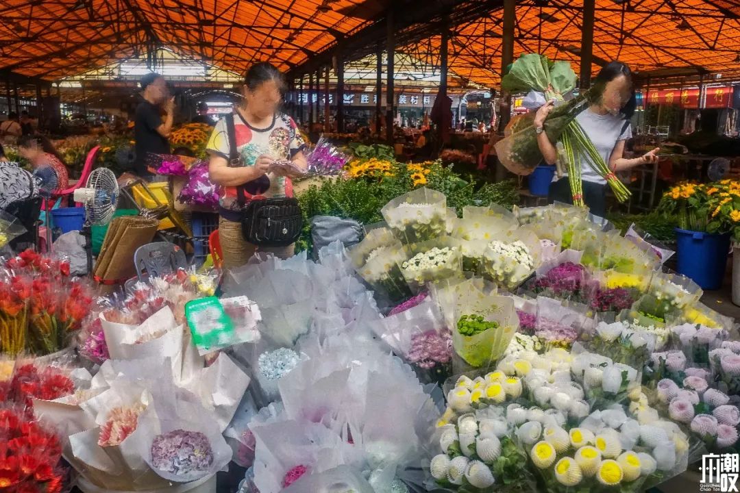 广州最大的花卉市场有哪些店,广州最便宜的花卉交易市场