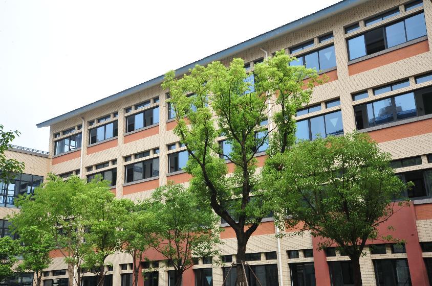 2022下半年临平新建竣工的小学,临平区公办小学