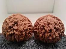 文玩品鉴视频,广善文玩精品文玩核桃