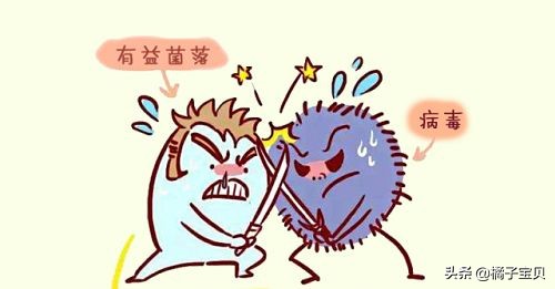 阴道益生菌与宫颈HPV感染