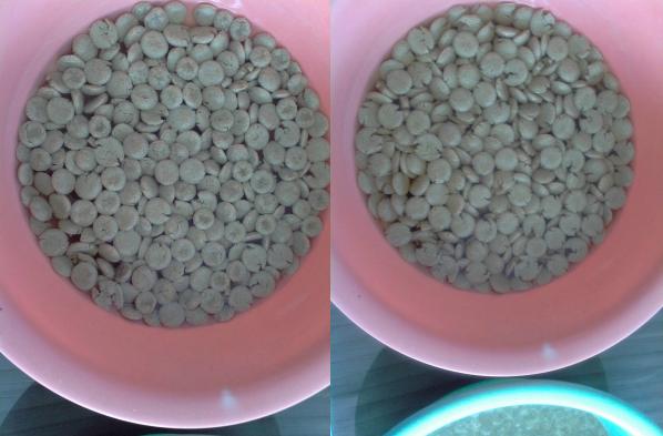 狗粮消化的正确方式,你们买的哪种狗粮实惠又有营养