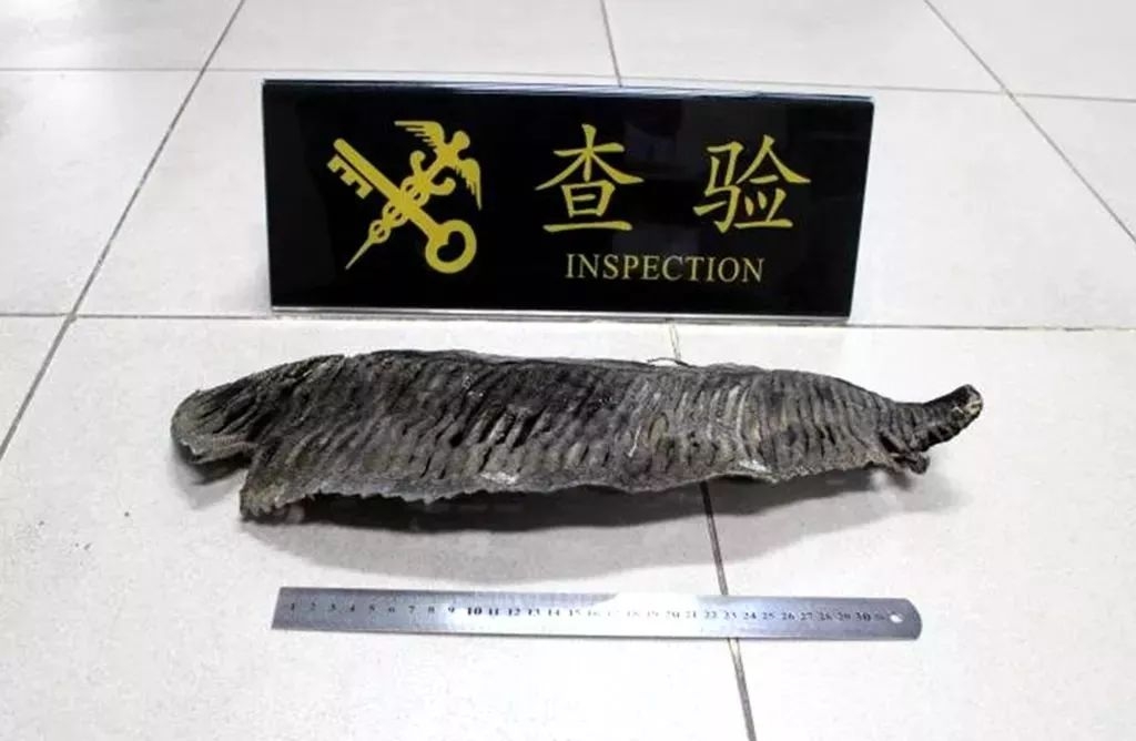 佛山市民注意事项,来往港澳有什么东西不能带