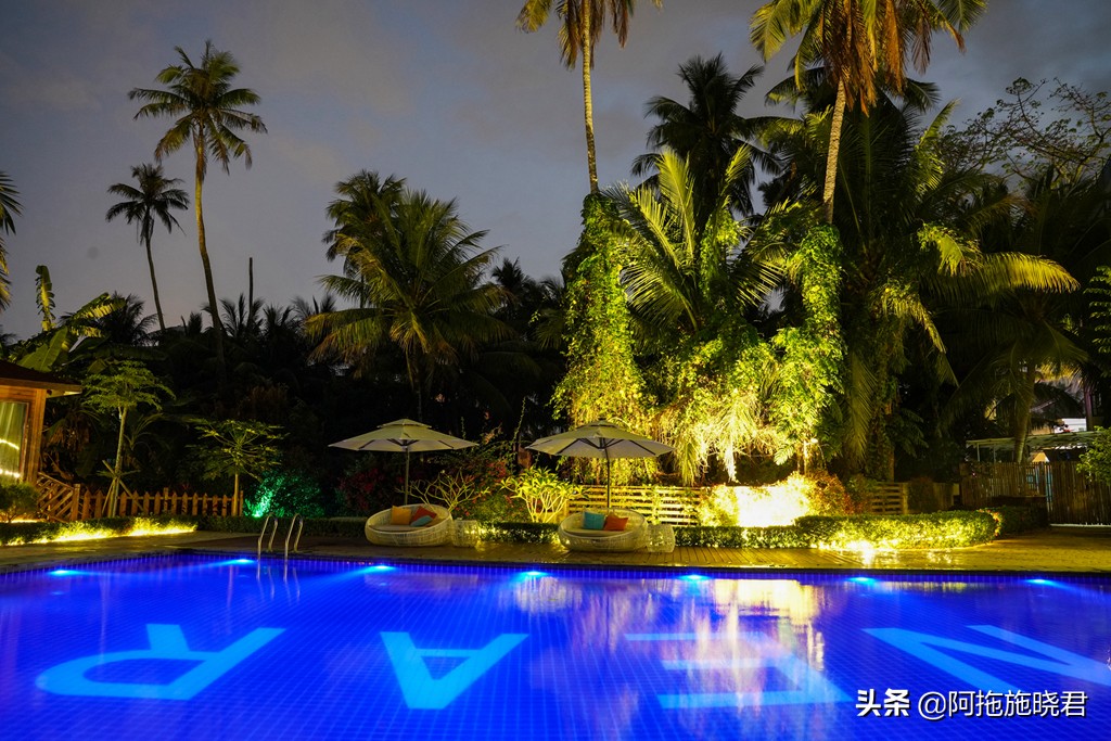 漫步其中尽享清新惬意,漫步海边椰林