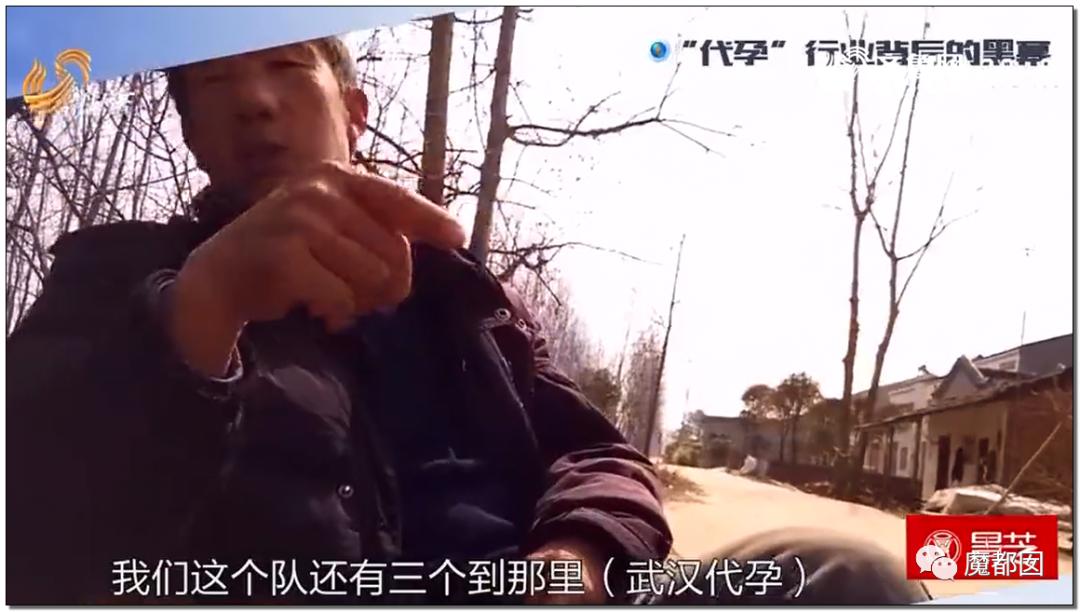 海外代孕有什么危害,代孕是违法的吗在美国