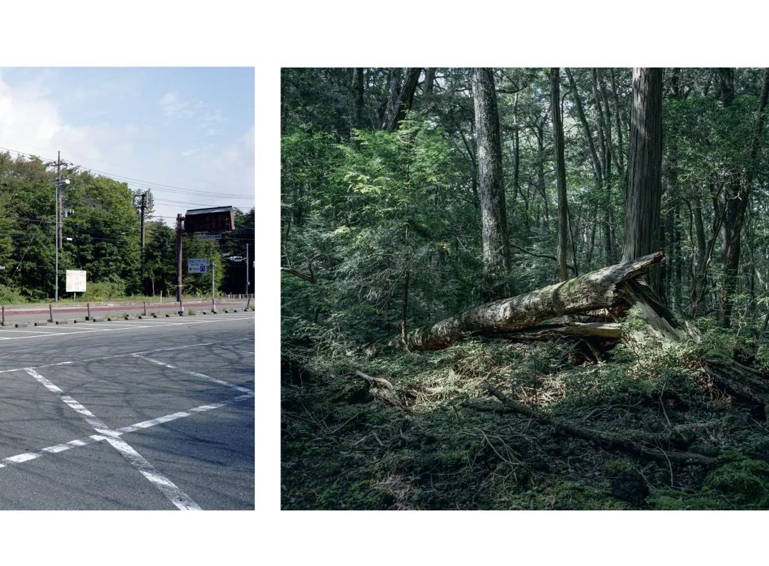 日本每年3万人自杀,韩星自杀成风…他探访3大自杀圣地,让人心惊