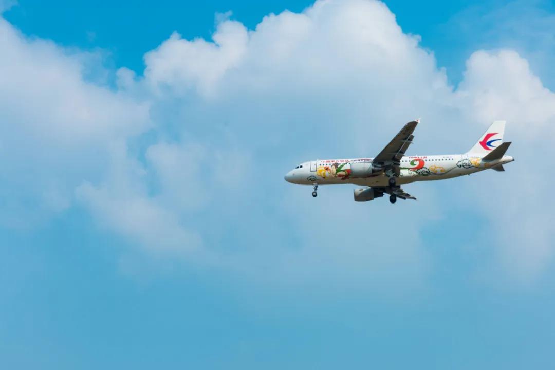 在空港花田里怎么拍照好看,每张都是屏保