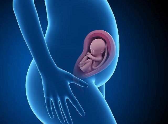 四维彩超之前能吃东西吗,做四维彩超之前用憋尿吗